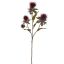 THISTLE SPRAY X3 60CM BURGUNDY