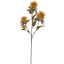 THISTLE SPRAY X3 60CM MUSTARD