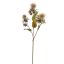 THISTLE SPRAY X3 60CM VANILLE