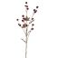 SANICULA SPRAY 70CM BURGUNDY