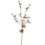 SANICULA SPRAY 70CM VANILLE