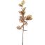 EUCALYPTUS DRY 60CM GREEN