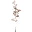 EUCALYPTUS DRY 60CM GREY