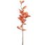 EUCALYPTUS DRY 60CM ORANGE RED