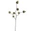 LANTERN SPRAY 82CM DARK GREEN