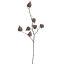 LANTERN SPRAY 82CM GREY
