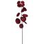 COTINUS SPRAY 82CM BEAUTY