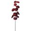 COTINUS SPRAY 82CM BURGUNDY