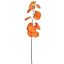 COTINUS SPRAY 82CM YELLOW