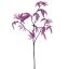 ACER LEAF 80CM PURPLE