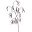 LARGE ALDER FRUIT 121CM LAVENDER