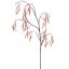 LARGE ALDER FRUIT 121CM PINK