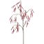 LARGE ALDER FRUIT 121CM RED