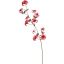 WILD CLEMATIS FRUIT 110CM CORAL