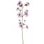 WILD CLEMATIS FRUIT 110CM LILAC