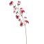WILD CLEMATIS FRUIT 110CM RED