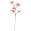 CLEMATIS FRUIT SPRAY 72CM CORAL