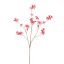 LARGE CLEMATIS FRUIT SPRAY 105CM CORAL