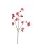LARGE CLEMATIS FRUIT SPRAY 105CM RED