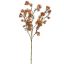 WILD GYPSO 70CM OCRE