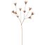 DRIED FLOWER BRANCH 80CM BEIGE