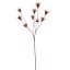 DRIED FLOWER BRANCH 80CM ORANGE