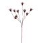DRIED FLOWER BRANCH 80CM RED