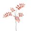 RHUS TYPHINA BRANCH 100CM PINK