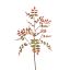 RHUS TYPHINA BRANCH 130CM GREEN RED