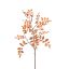RHUS TYPHINA BRANCH 130CM ORANGE