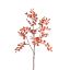 RHUS TYPHINA BRANCH 130CM RED