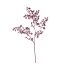 CELERY LEAF 100CM BURGUNDY