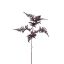 ASPARAGUS FLOCKED 75CM BROWN