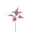 ASPARAGUS FLOCKED 75CM MASSALA