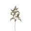 LARGE ASPARAGUS FLOCKED 115CM GREEN