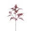 LARGE ASPARAGUS FLOCKED 115CM MASSALA