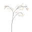 SILVER DOLLAR 80CM WHITE