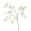 LARGE SILVER DOLLAR 110CM BEIGE