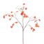 LARGE SILVER DOLLAR 110CM ORANGE
