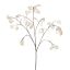 LARGE SILVER DOLLAR 110CM WHITE