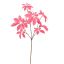 SCHEFFLERA LEAF 65CM BEAUTY