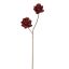PROTEA 93CM BURGUNDY