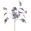 SORBUS LEAF 109CM PURPLE