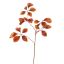 BEECH LEAF 74CM RED