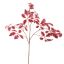 BEECH LEAF 103CM BEAUTY