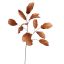 MAGNOLIA SPRAY 124CM BROWN