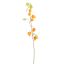PHYSALIS 90CM ORANGE