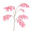 CHAMAEDOREA SPRAY 90CM BEAUTY