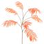 CHAMAEDOREA SPRAY 90CM ORANGE