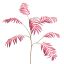 CHAMAEDOREA SPRAY 90CM PURPLE
